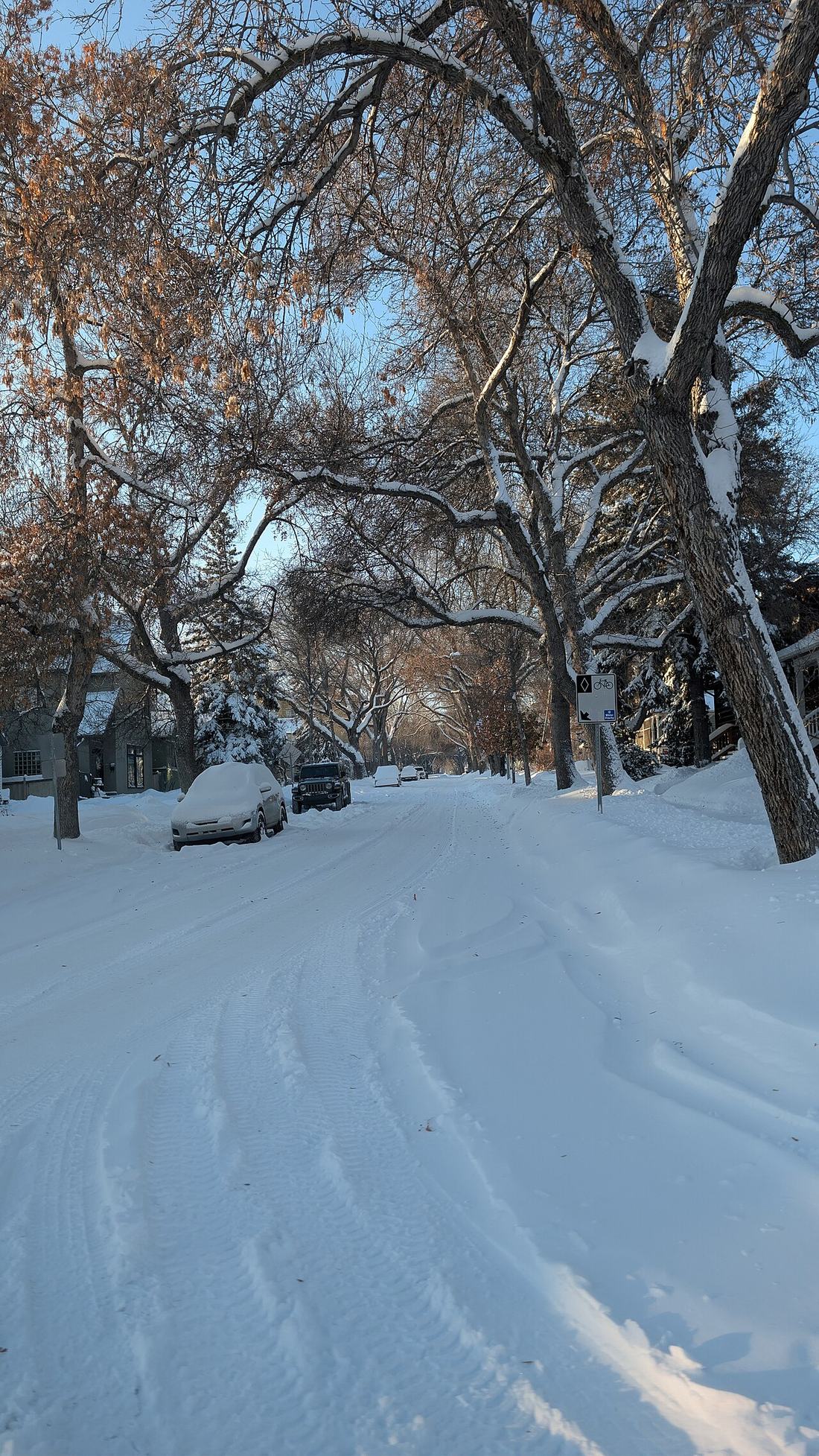 A snow-covered street in Edmonton